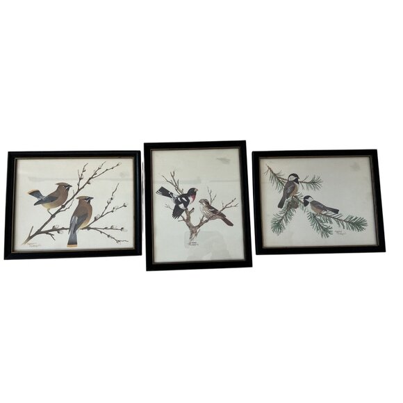 Set Of 3 Sherm Pehrson Bird Prints In Black Wood Frames - Picture 1 of 8